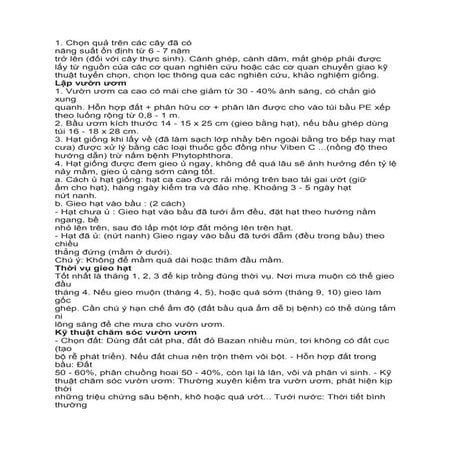 Ca cao | PDF