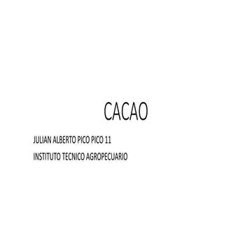 Cacao