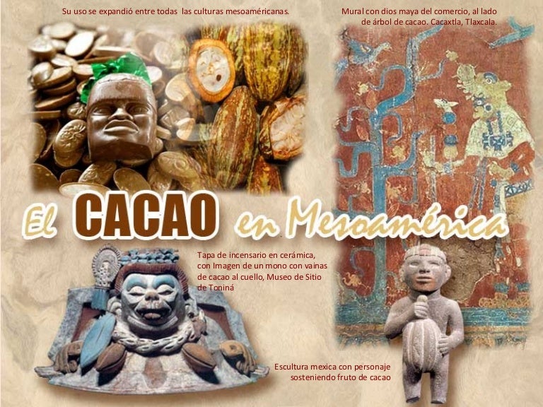 Cacao en mesoamerica