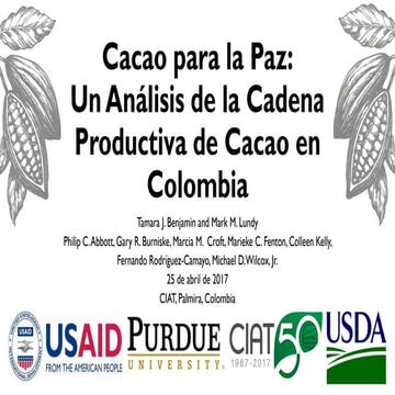Cacao para la Paz: Un Análisis de la Cadena Productiva de Cacao en Colombia