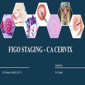 Pathology of Cervix | PPT