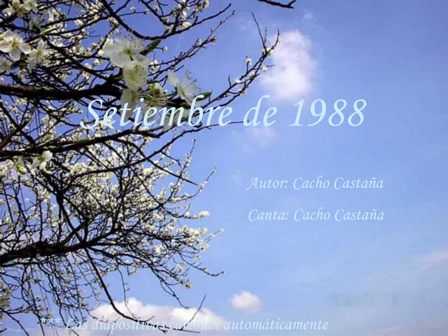 Cacho de Bs As (setiembre1988)