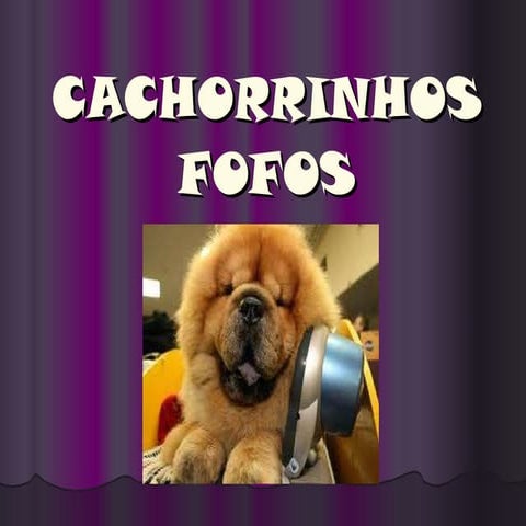 Cachorrinhos fofos