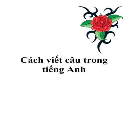 Cach viet cau_tieng_anh_2924_9491