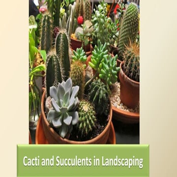 Cacti and Succulents in Landscaping.pptx