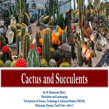 Cacti and Succulents used for Landscaping | PDF
