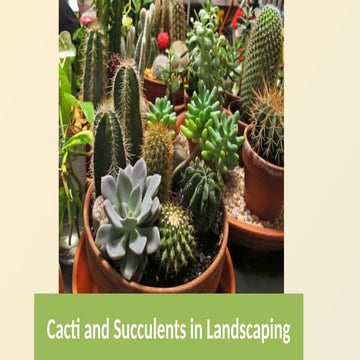 Cacti and Succulents by Arvind Verma.pptx