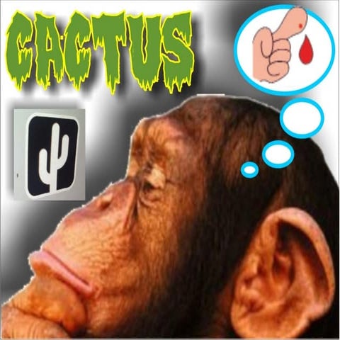 Cactus