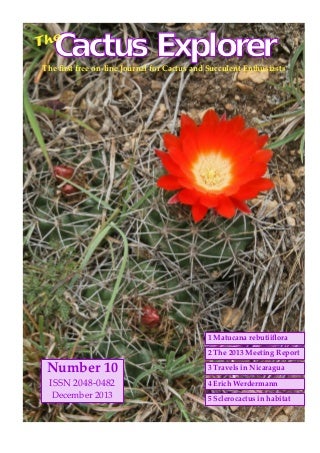 How Does Visit Homepage On Buy Succulents Online Work?