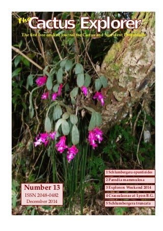 The Tried And True Method For Kalanchoe Flowering Season In Step By Step Detail