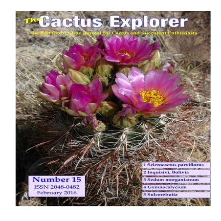 cactus town kickstarter Cactus Town Deluxe Sheriff's Pledge – No Regret Games