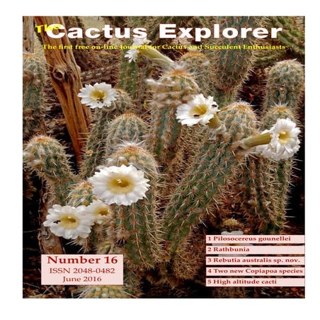Cactus explorer 8 complete | PDF