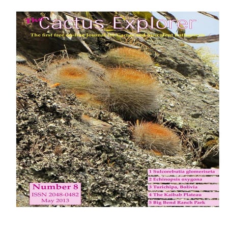 Cactus explorer 8 complete