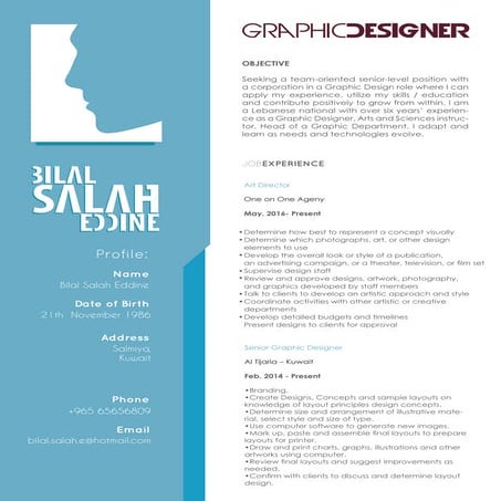 Motion Graphics animator & Visual Effects resume (1) | DOCX