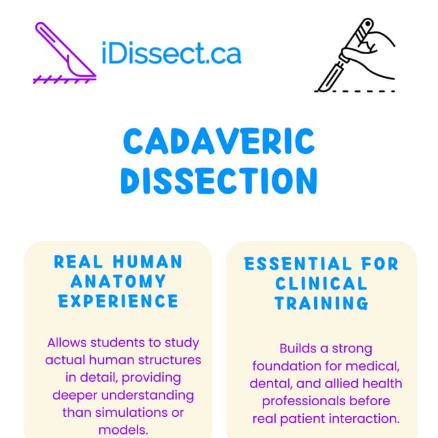 Comprehensive Cadaveric Dissection Techniques for Medical Education and ...