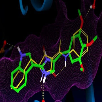 MOLECULAR DOCKING AND DRUG RECEPTOR INTERACTION | PPTX