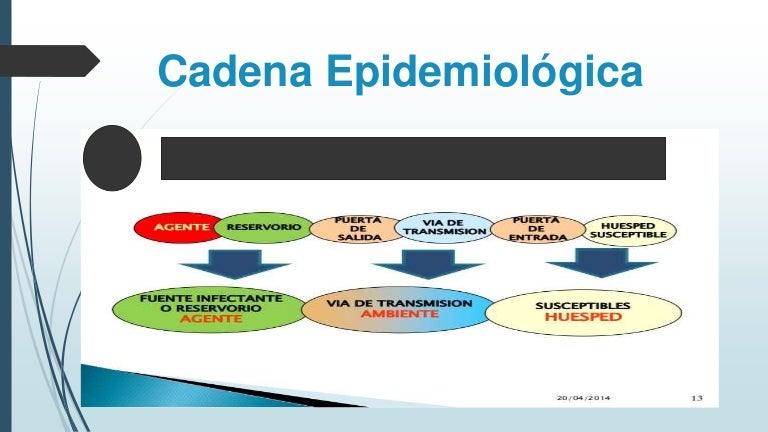 cadena epidemiologica cual es cadena epidemiologica cadena epidemiologica cual es cadena epidemiologica