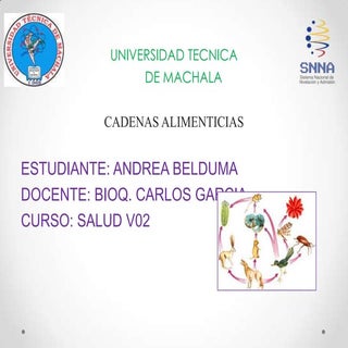 Cadena alimenticia