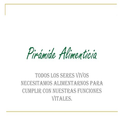 Cadena alimenticia 7°A y B
