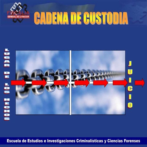 MANUAL-DEL-SISTEMA-DE-CADENA-DE-CUSTODIA.pdf