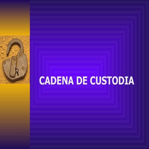 Cadena De Custodia, Colombia