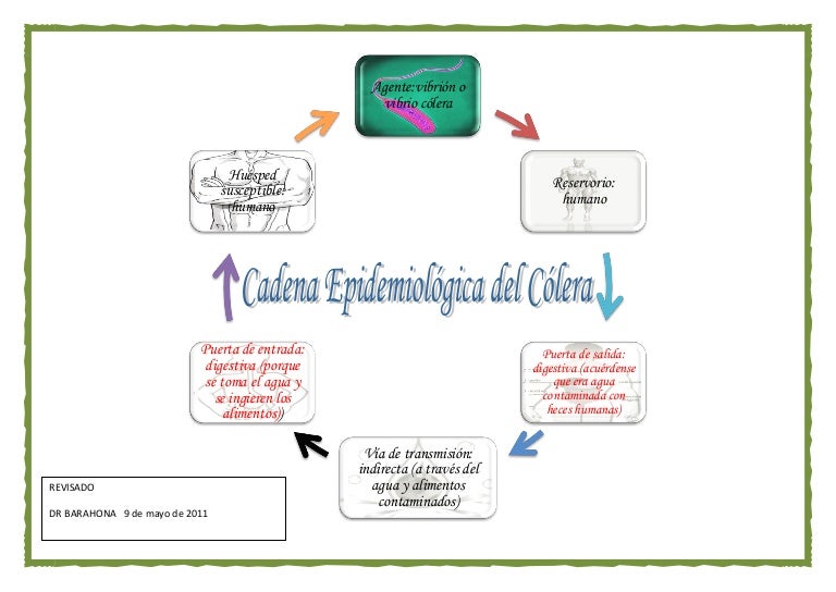 cadena epidemiologica triada ecologica cadena epidemiologica 1 cadena epidemiologica triada ecologica cadena epidemiologica 1