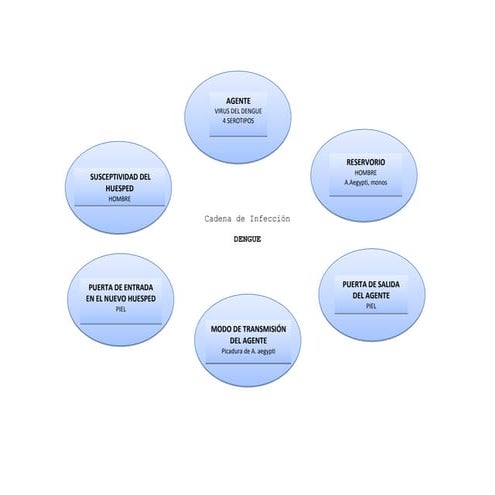 Cadena epidemiologica dengue