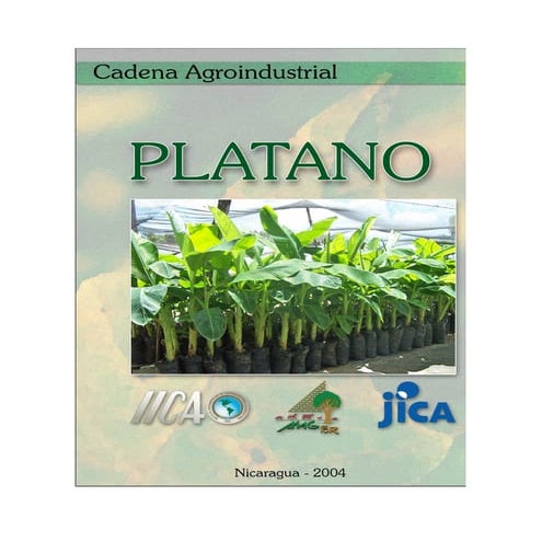 Cadena platano