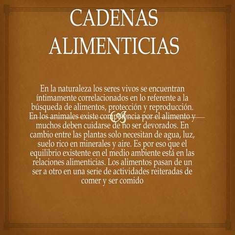 Cadenas alimenticias