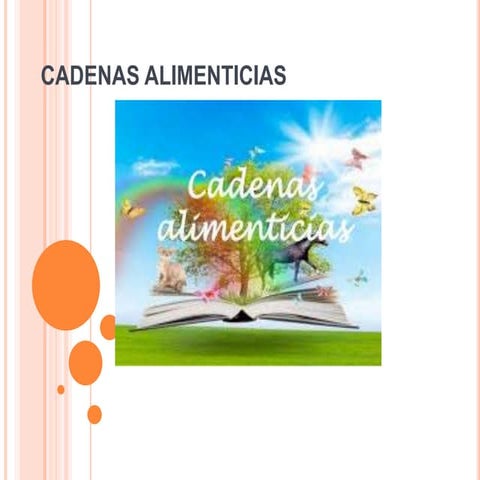Cadenas alimenticias
