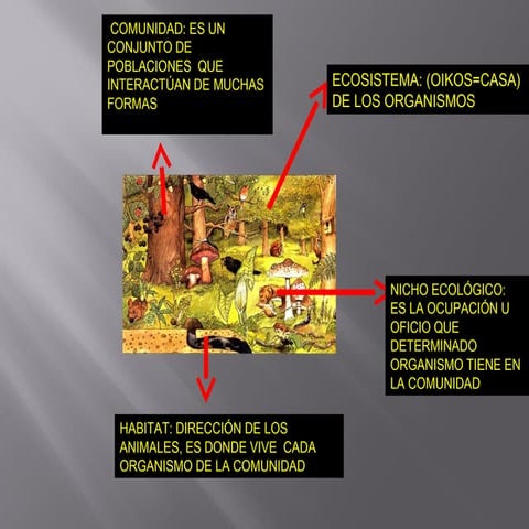 Relaciones Alimentarias 