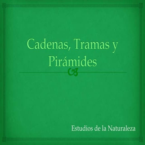 Cadenas, tramas y pirámides