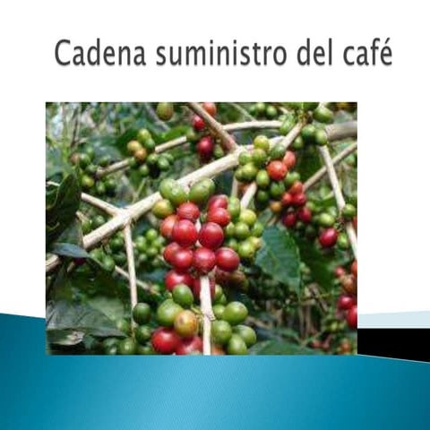 Cadena suministro del café