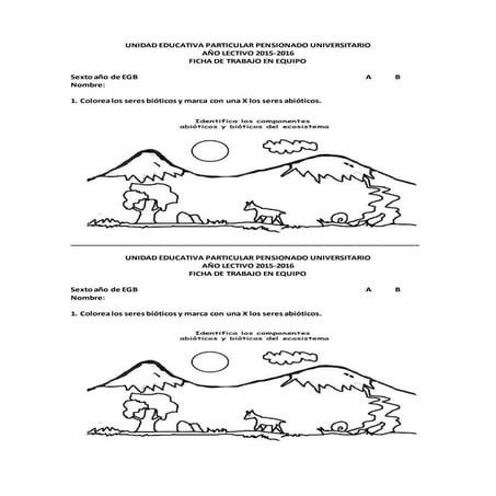 Seres bióticos y abióticos 