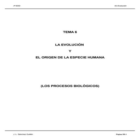 linneoerno evolución