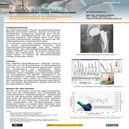 Betriebsfestigkeit eines Hüftimplantats - Spannungsberechnung und Betriebsfes...