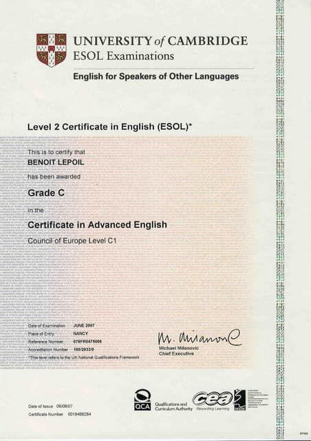10 Cambridge ESOL Certificate