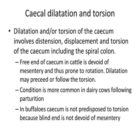 Caecal dilatation and torsion and correction.pdf