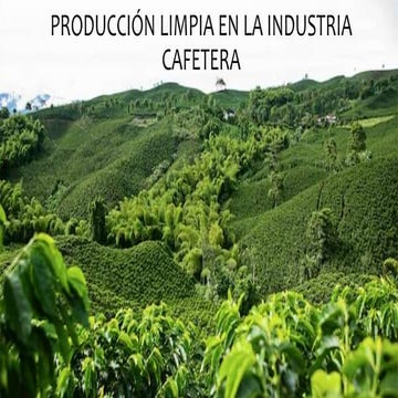INDUSTRIA  DEL  CAFÉ 