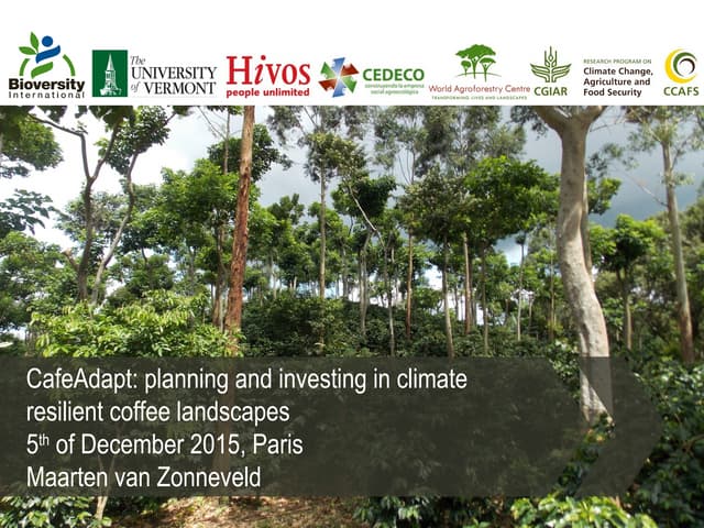 thumbnail of  Cafe adapt: Planning and investing in climate resilient coffee landscapes