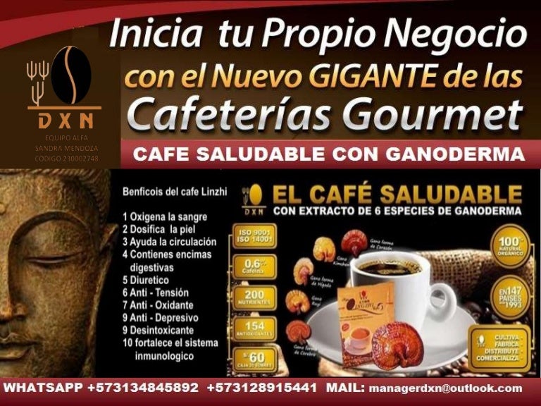 dxn colombia equipo alfa cafe saludable cucuta