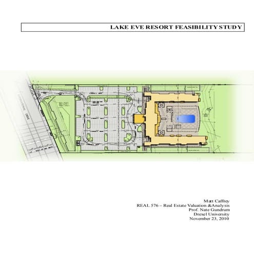 Caffrey le feasibility 11 23-2010