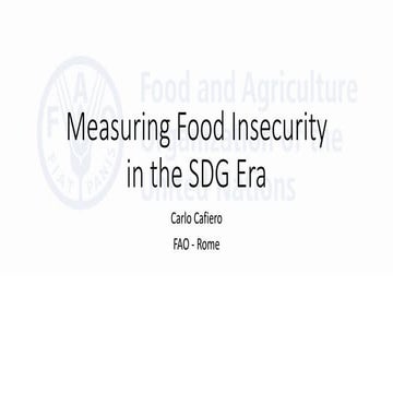 Measuring Food Insecurity in the Sustainable Development Goals