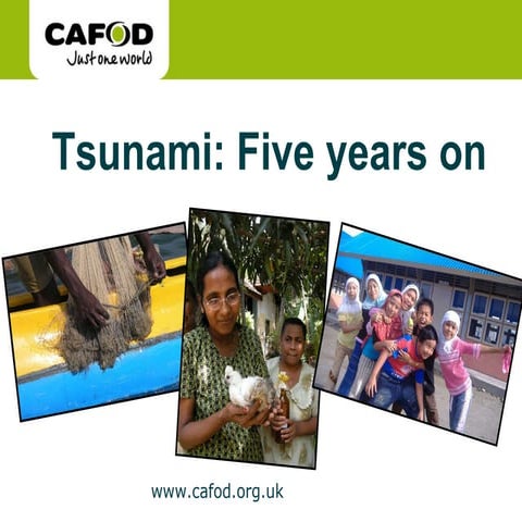 Tsunami five years on photogallery