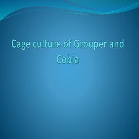 Cage Culture of Grouper and Cobia