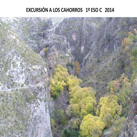 Cahorros 1ºC IES LA MADRAZA  2014