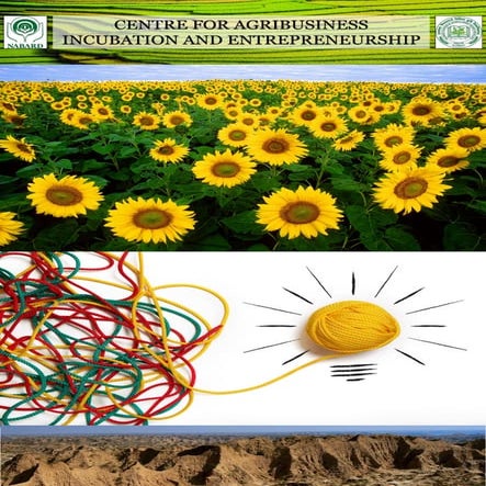 Centre for Agribusiness Incubation and Entrepreneurship