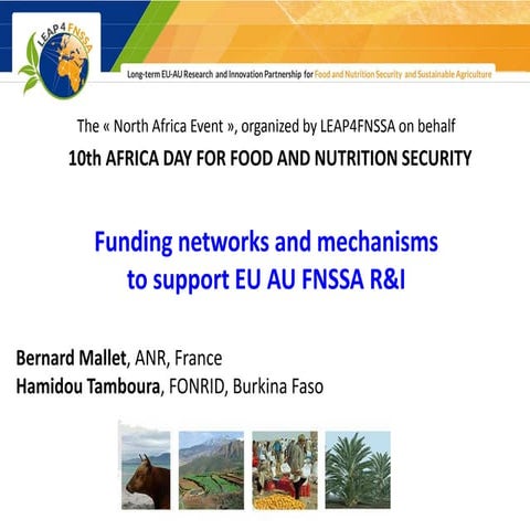 Funding networks and mechanisms  to support EU AU FNSSA R&I 