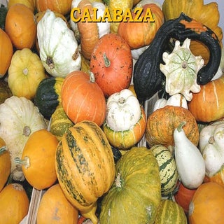 Calabaza