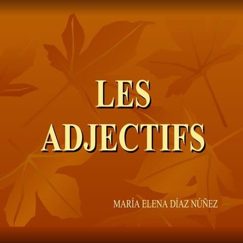 Les Adjectifs